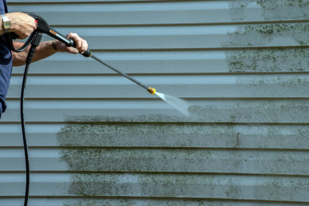Boat and Dock Cleaning in Odem, TX